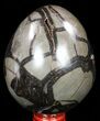 Septarian Dragon Egg Geode - Black Crystals #57426-2